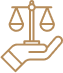 Education law icon